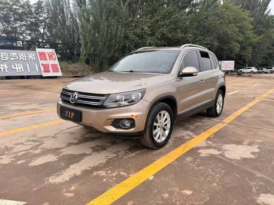 2014年4月 大众 Tiguan(进口) 2.0TSI 舒适版图片