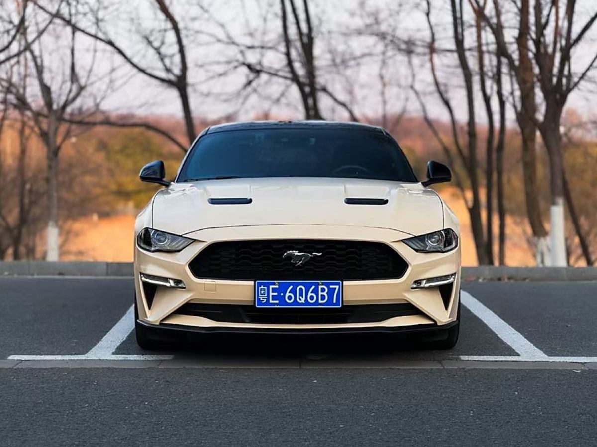 福特 Mustang  2020款 2.3L EcoBoost圖片