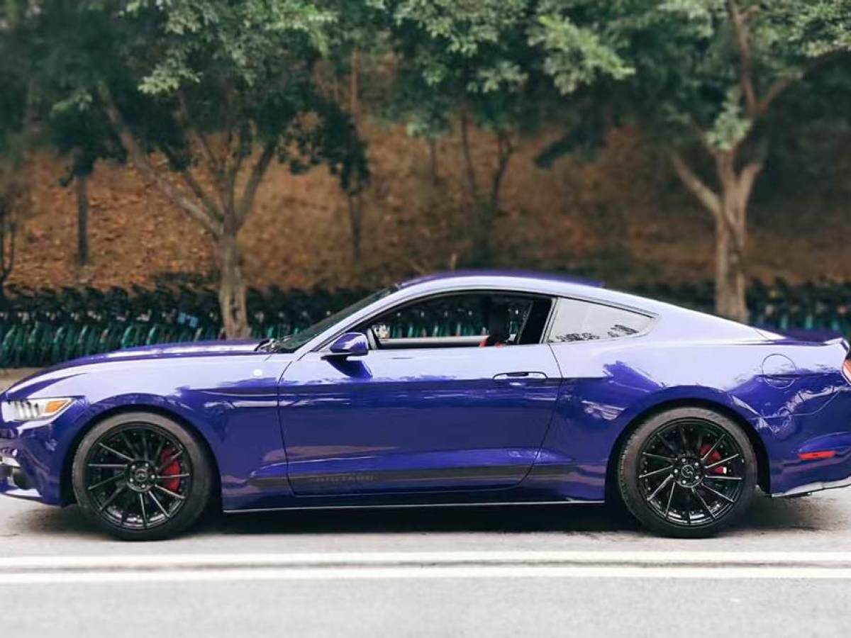 福特 Mustang  2016款 2.3T 性能版圖片