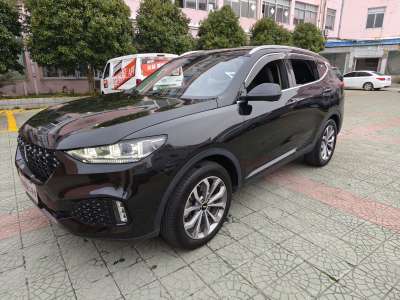 2018年12月 WEY VV6 2.0T 两驱超豪型图片