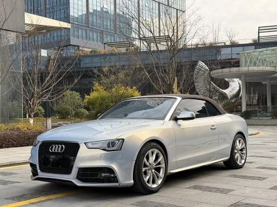 2012年8月 奧迪 奧迪A5(進口) 2.0TFSI Cabriolet quattro圖片