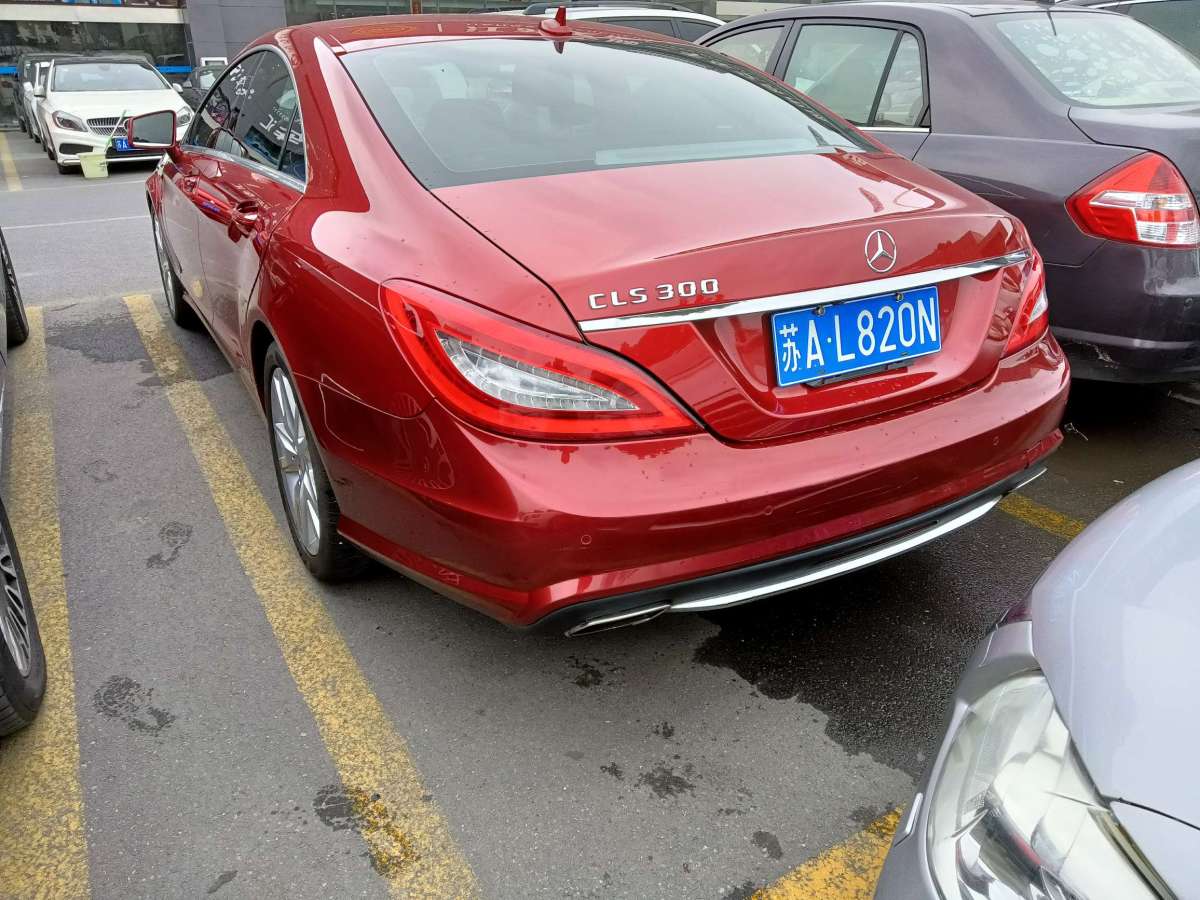 奔驰 奔驰cls级  2012款 cls 300 cgi图片