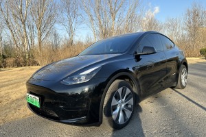 Model Y 特斯拉 改款 后輪驅動版