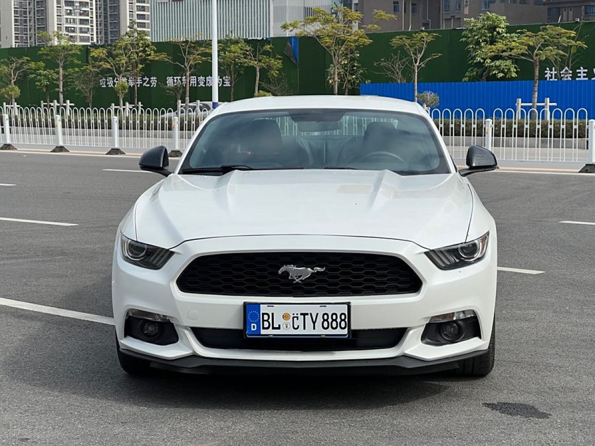 福特 Mustang  2015款 2.3T 性能版圖片