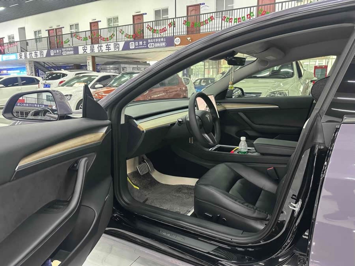 特斯拉 Model 3  2022款 Performance高性能全輪驅(qū)動版圖片