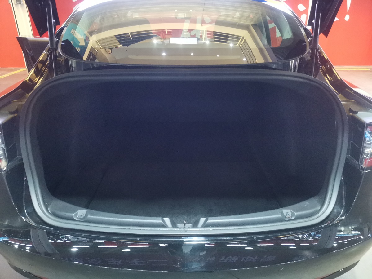特斯拉 Model 3  2019款 长续航后驱版图片