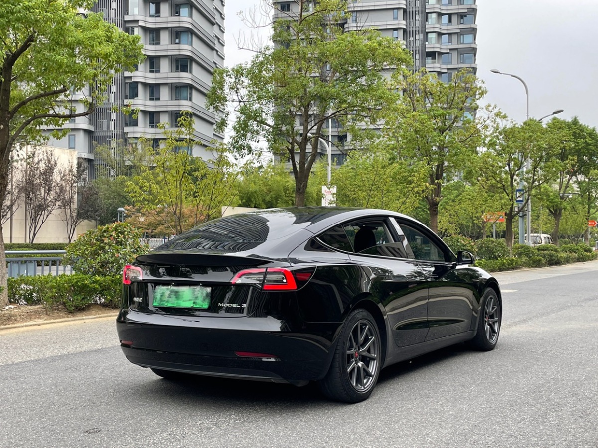 特斯拉 Model Y  2020款 改款 長續(xù)航后輪驅(qū)動版圖片