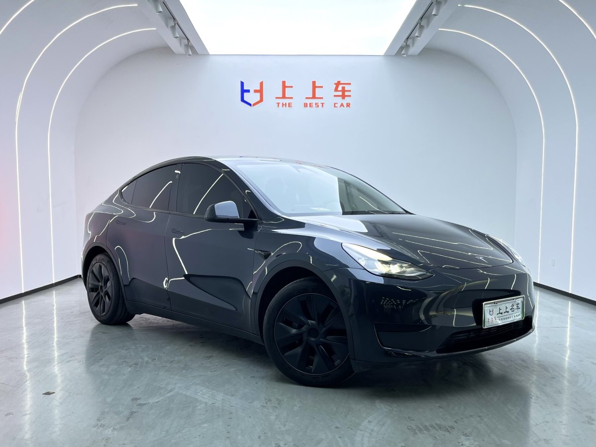 特斯拉 Model 3  2020款 改款 長續(xù)航后輪驅(qū)動(dòng)版圖片