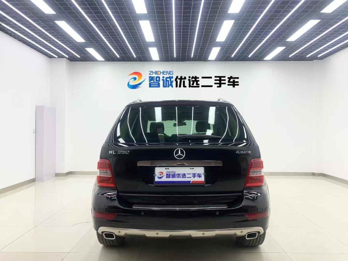 奔馳 奔馳M級(jí)  2010款 ML 350 4MATIC豪華型特別版圖片