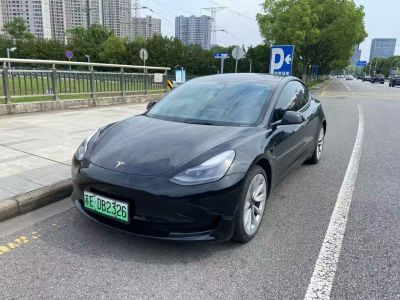2021年1月 特斯拉 Model S Performance 高性能版圖片