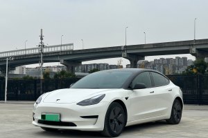 Model 3 特斯拉 標(biāo)準(zhǔn)續(xù)航后驅(qū)升級(jí)版