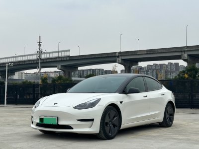 2021年4月 特斯拉 Model 3 標(biāo)準(zhǔn)續(xù)航后驅(qū)升級版圖片