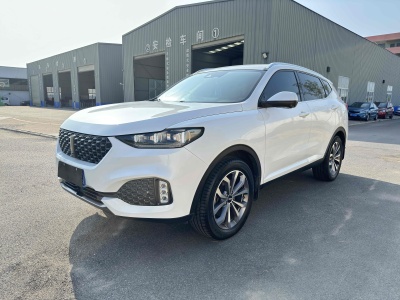 2019年10月 WEY VV6 2.0T 两驱旗舰型 国VI图片