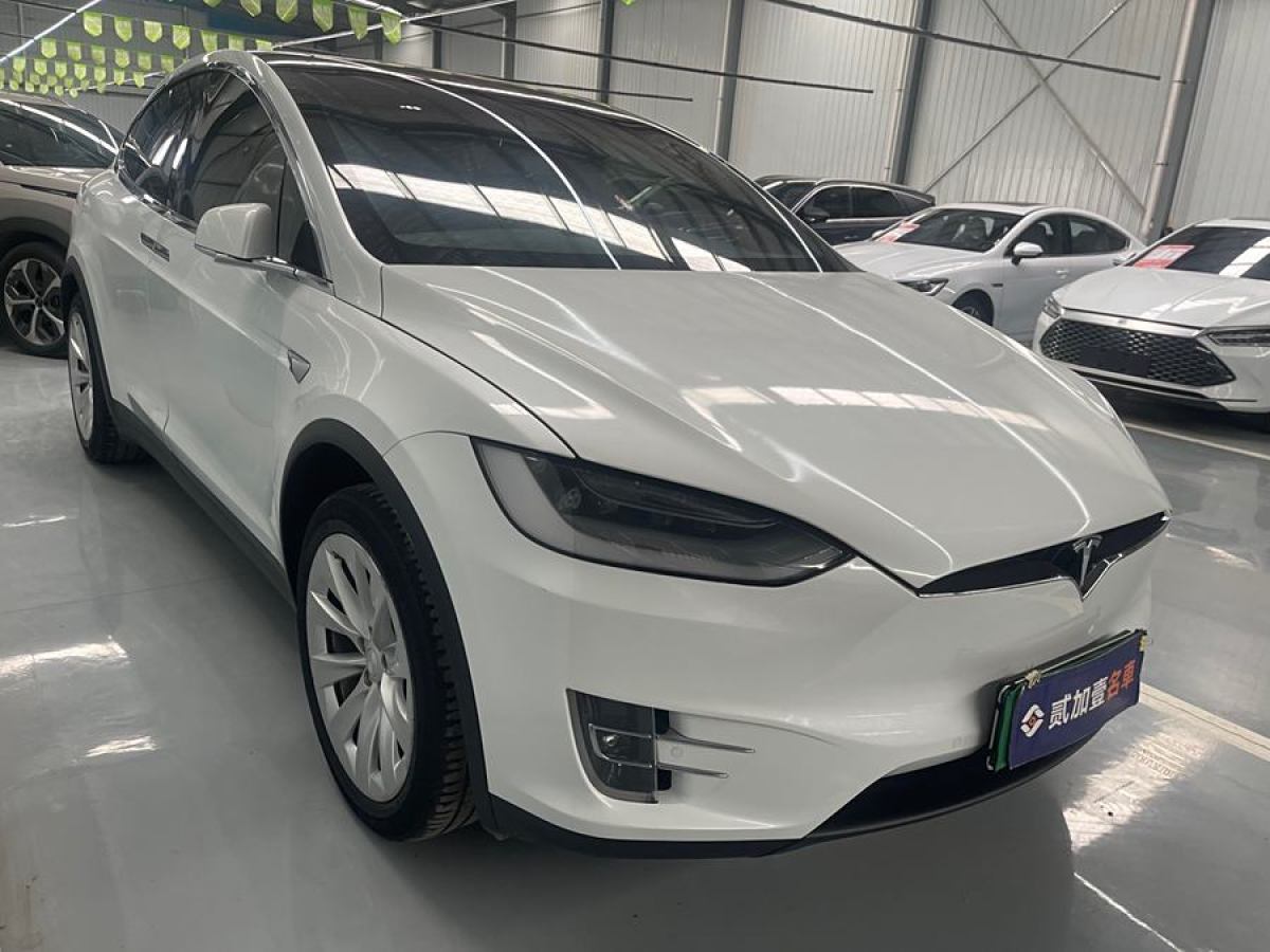 特斯拉 Model X  2019款 長(zhǎng)續(xù)航版圖片