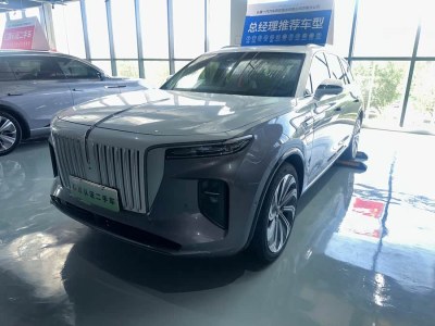 2023年7月 紅旗 紅旗E-HS9 660km 旗領(lǐng)版 四座圖片
