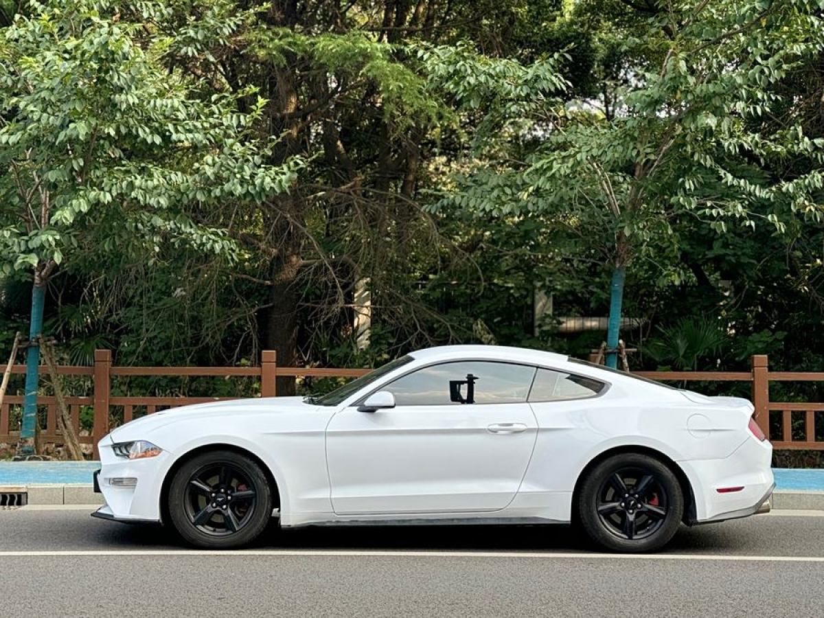 2018年5月福特 Mustang  2018款 2.3L EcoBoost