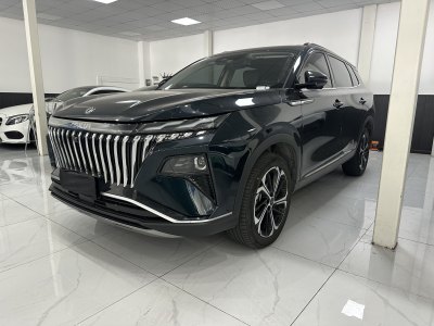 2022年8月 东风风神 皓极 马赫双擎 1.5T MHD 敢梦版图片