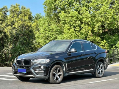 2016年1月 宝马 宝马X6(进口) xDrive35i 豪华型图片