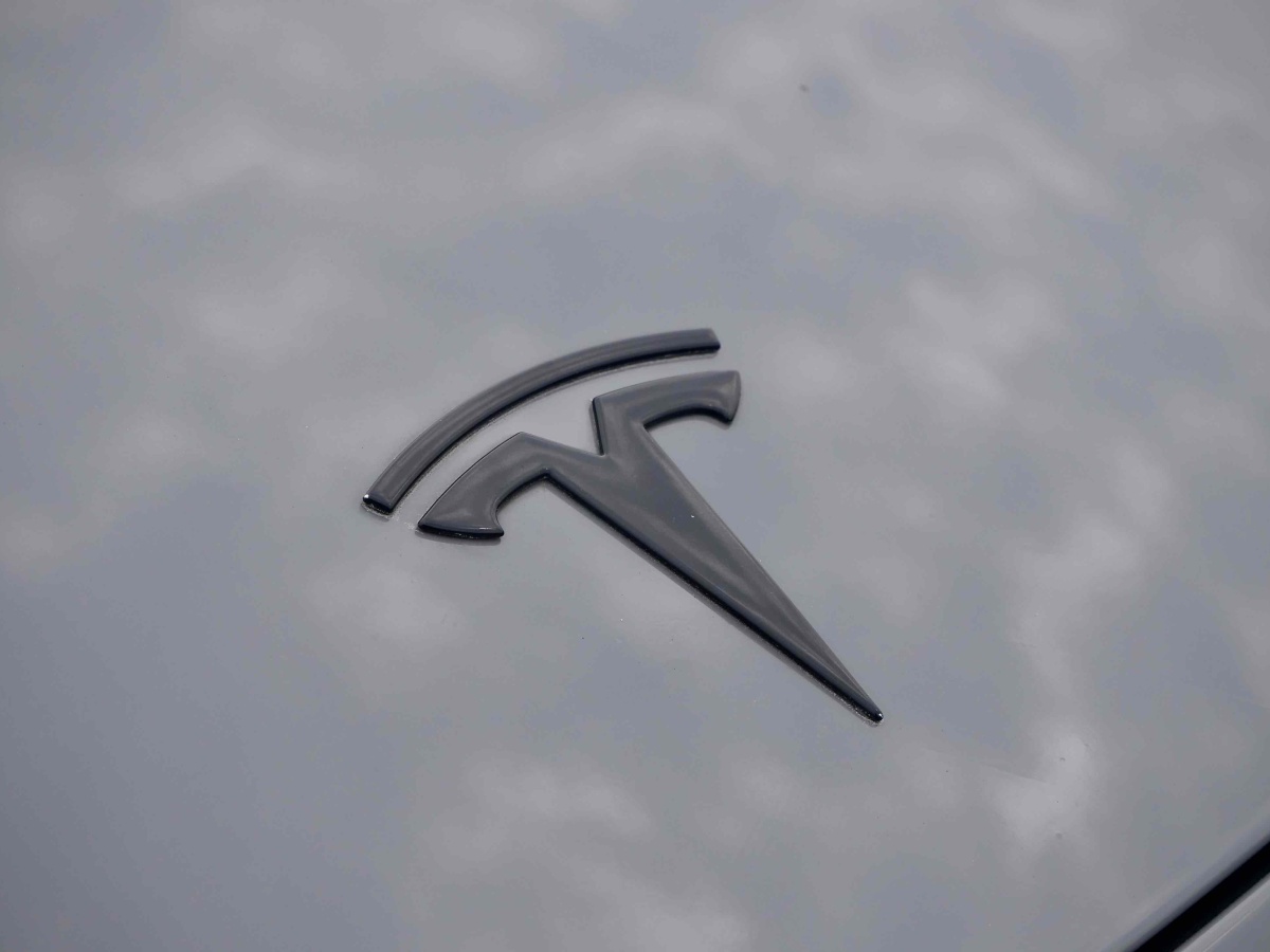 特斯拉 Model Y  2020款 改款 长续航后轮驱动版图片
