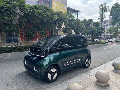 2022年8月 寶駿 寶駿KiWi EV 藝術(shù)家輕享版 三元鋰圖片