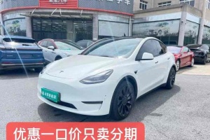 Model 3 特斯拉 Performance高性能全輪驅(qū)動(dòng)版