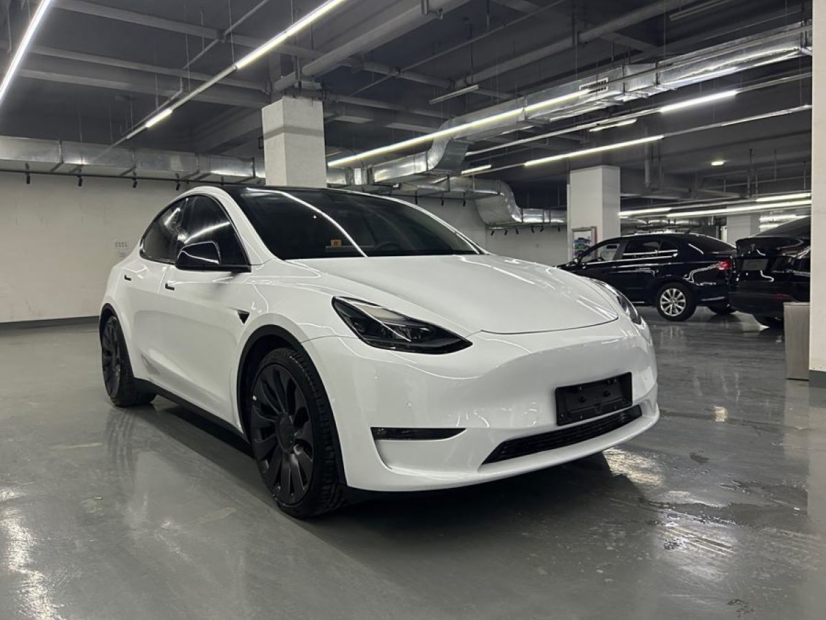 特斯拉 Model 3  2021款 改款 Performance高性能全輪驅(qū)動(dòng)版圖片