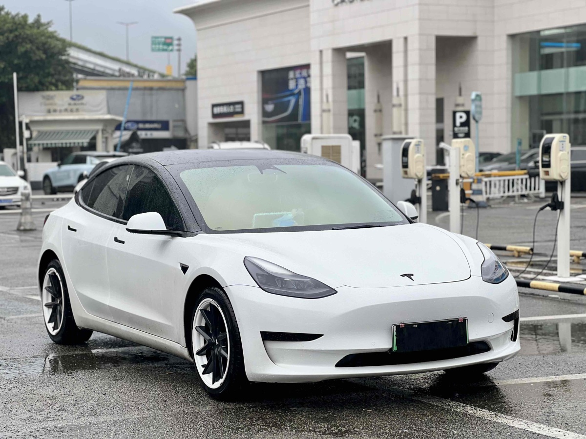 2021年4月特斯拉 Model 3  2019款 標(biāo)準(zhǔn)續(xù)航后驅(qū)升級版