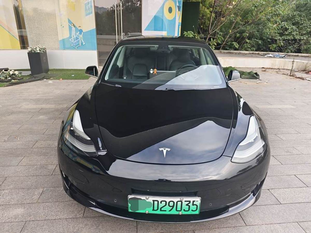 特斯拉 Model Y  2020款 改款 標(biāo)準(zhǔn)續(xù)航后驅(qū)升級(jí)版圖片