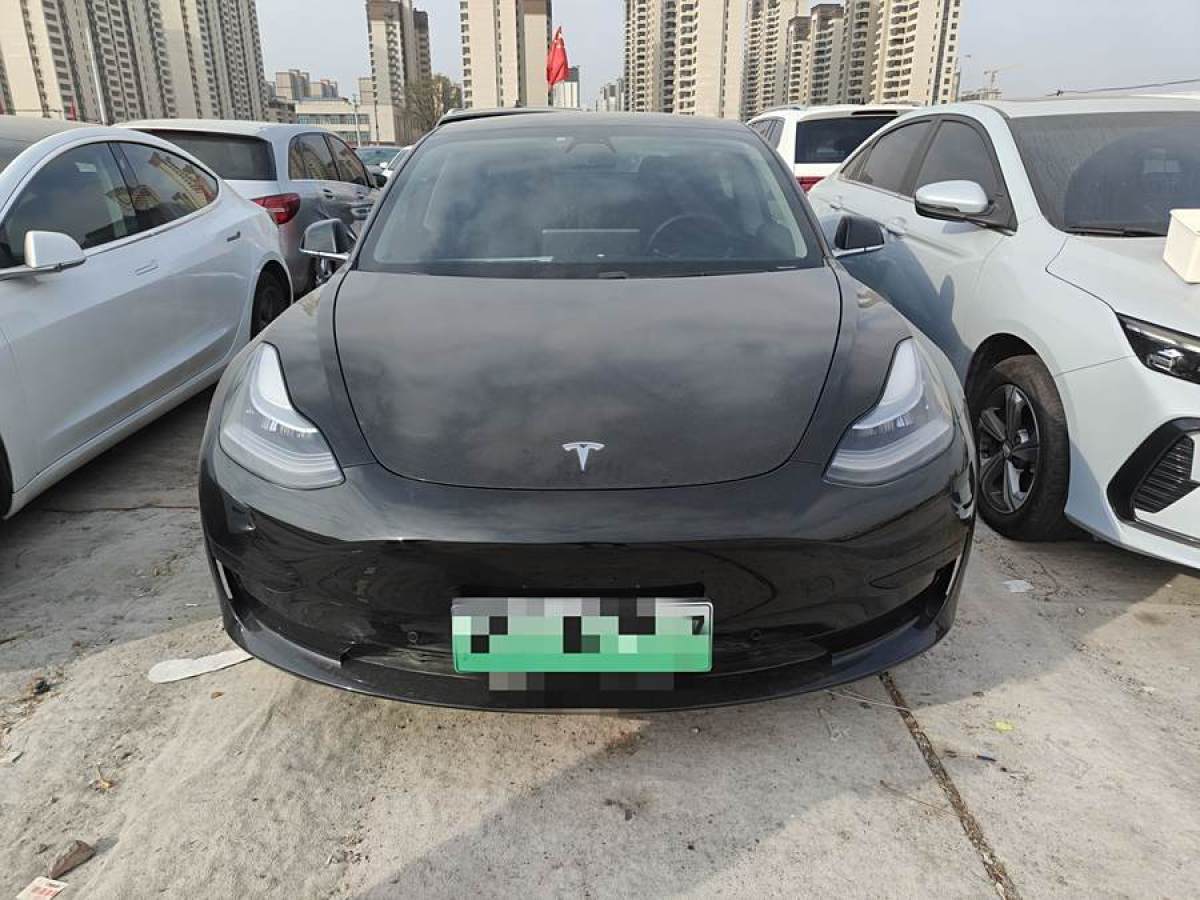 特斯拉 Model 3  2020款 改款 長續(xù)航后輪驅動版圖片