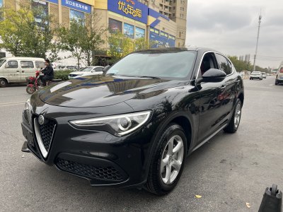 2019年6月 阿爾法·羅密歐 Stelvio 2.0T 200HP 精英版圖片