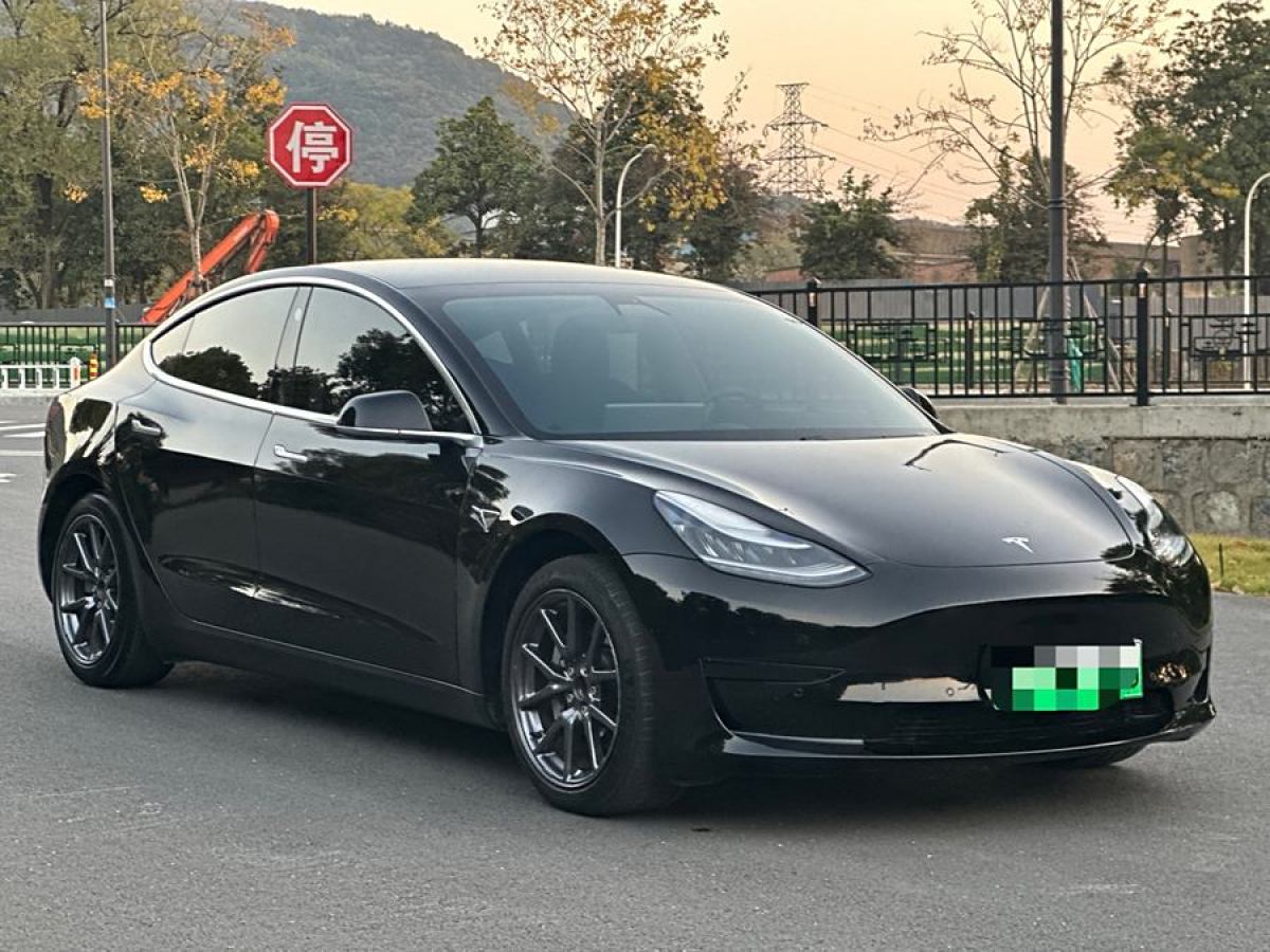 特斯拉 Model 3  2021款 改款 標(biāo)準(zhǔn)續(xù)航后驅(qū)升級版圖片