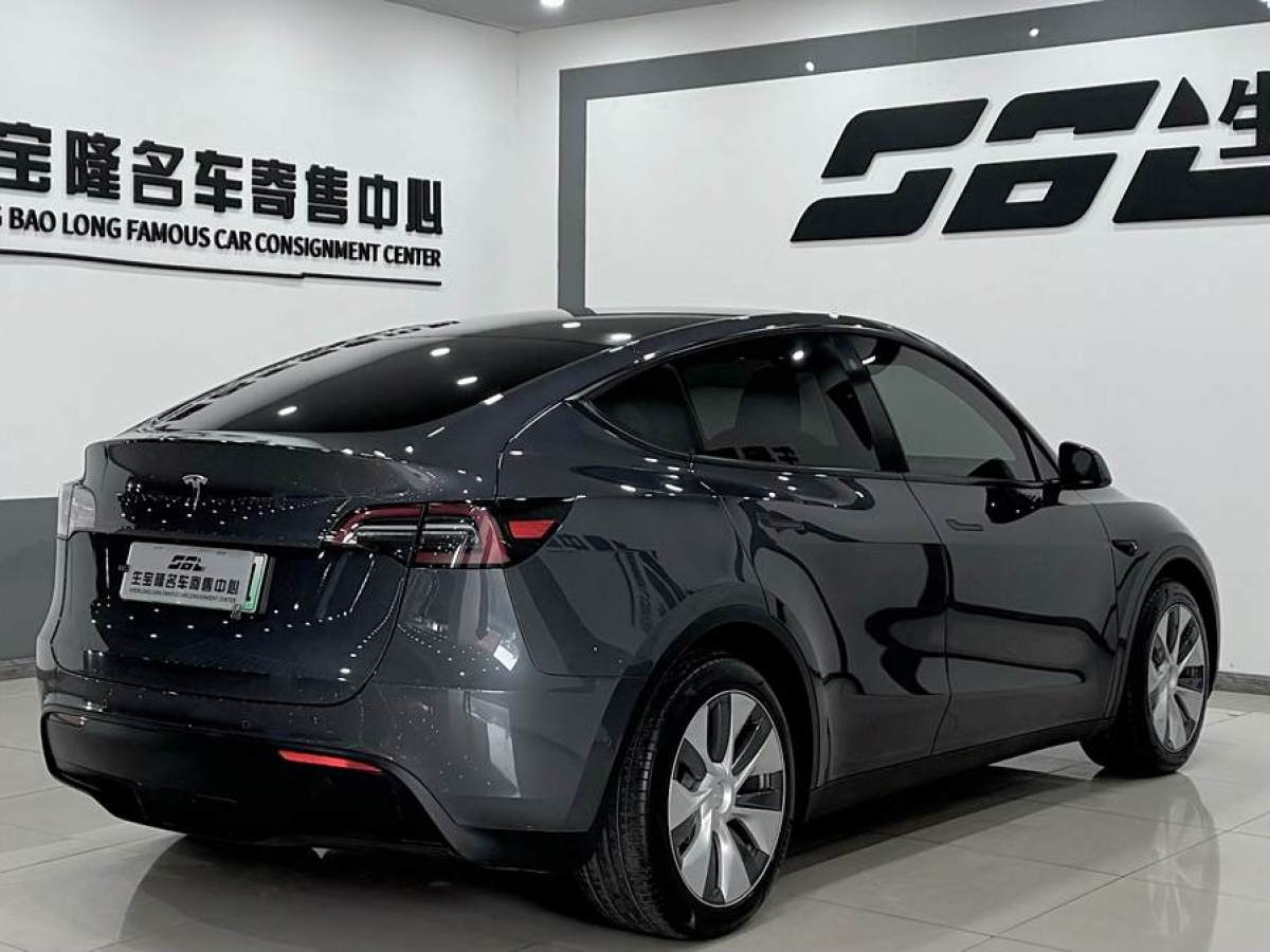 特斯拉 Model 3  2020款 改款 長續(xù)航后輪驅(qū)動(dòng)版圖片