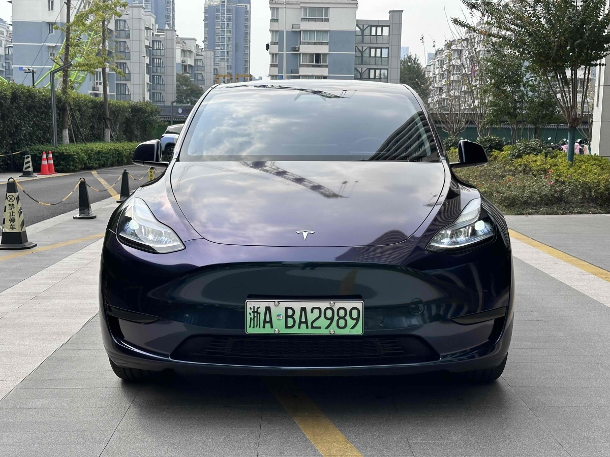 特斯拉 Model Y  2020款 改款 長(zhǎng)續(xù)航后輪驅(qū)動(dòng)版圖片