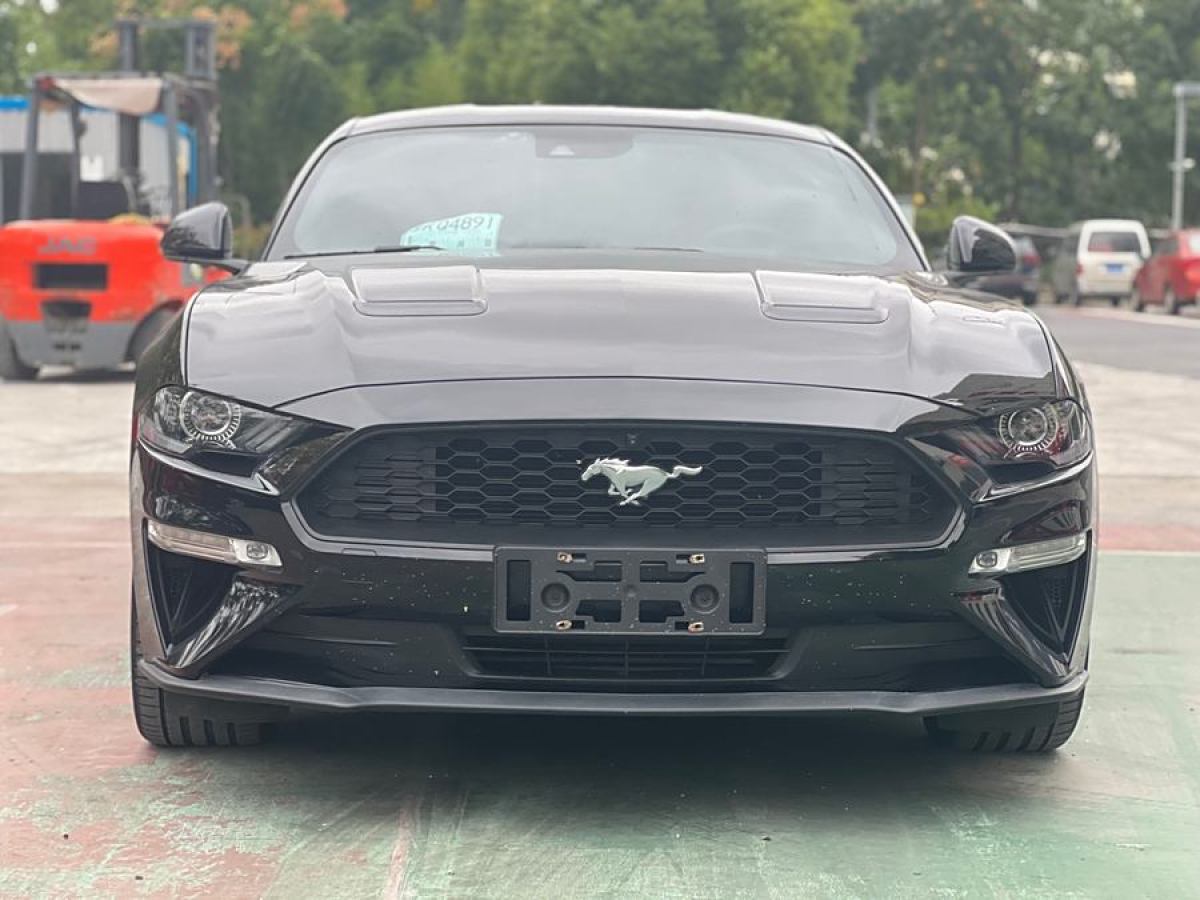 福特 Mustang  2019款 2.3L EcoBoost 性能加強(qiáng)版圖片