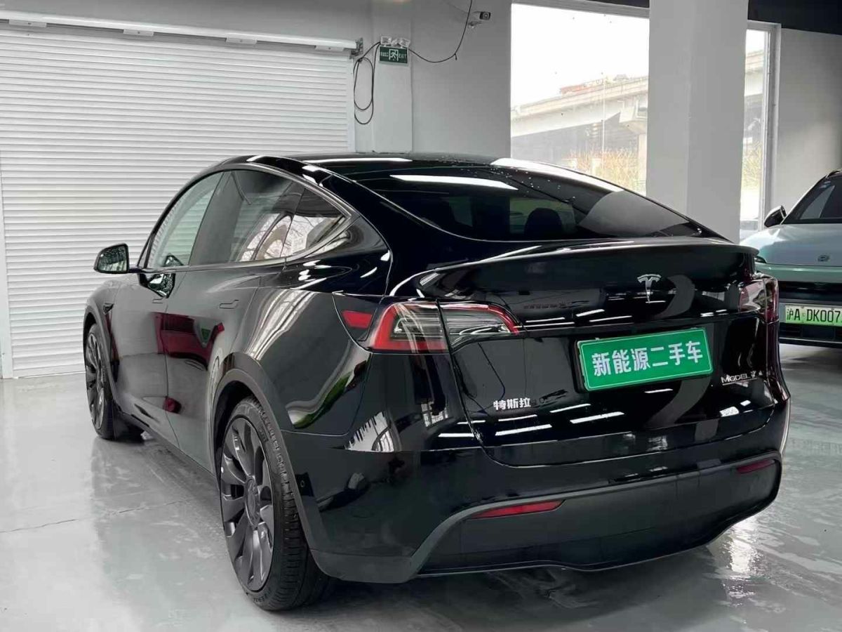 特斯拉 Model Y  2024款 Performance高性能版圖片