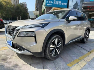 2021年7月 日產(chǎn) 奇駿 VC-Turbo 300 CVT 4WD至尊版圖片