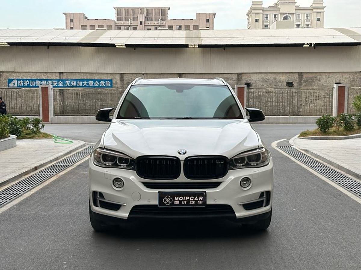 寶馬 寶馬X5  2014款 xDrive35i 領(lǐng)先型圖片