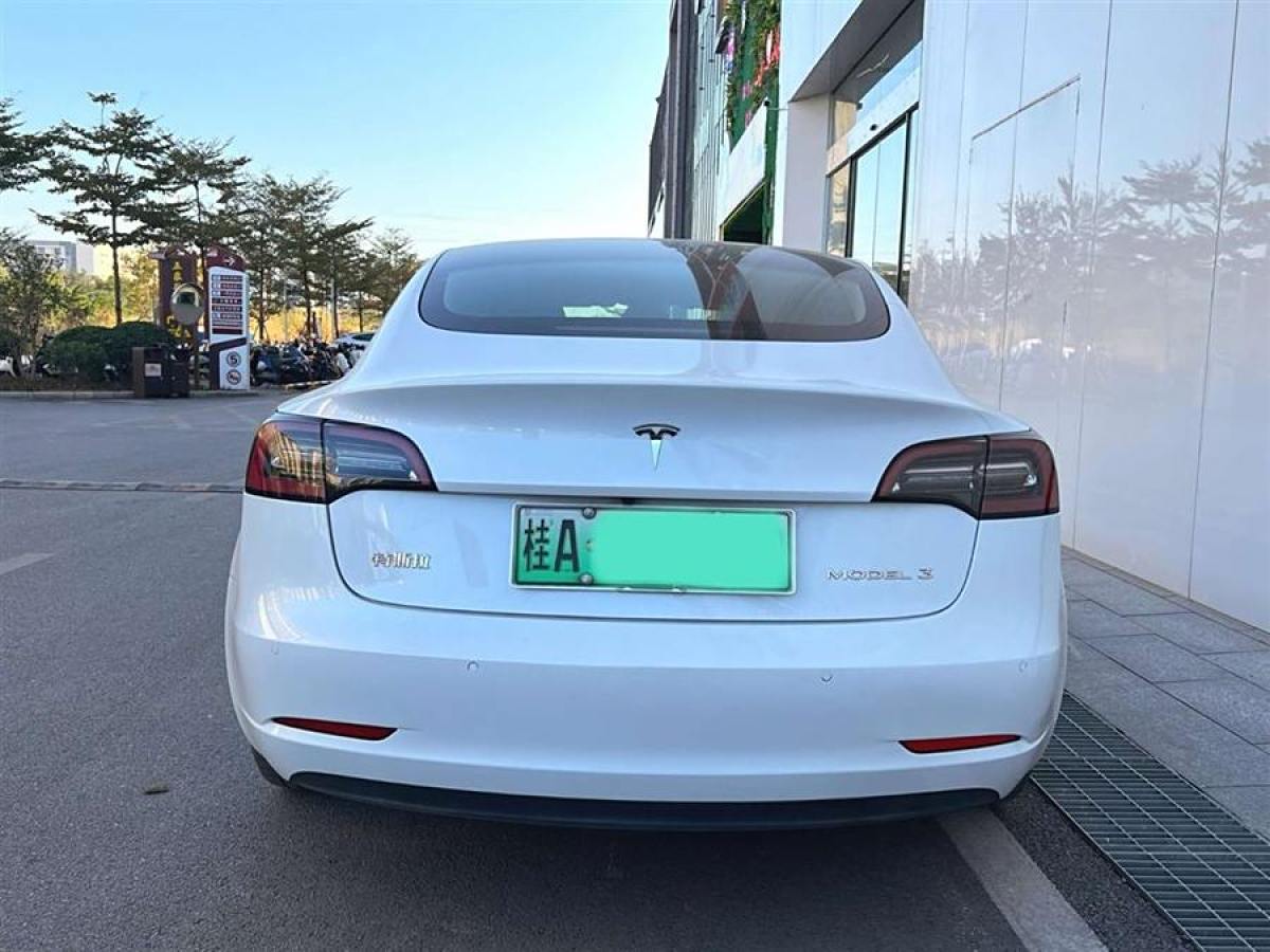 特斯拉 Model 3  2021款 標(biāo)準(zhǔn)續(xù)航后驅(qū)升級(jí)版 3D6圖片