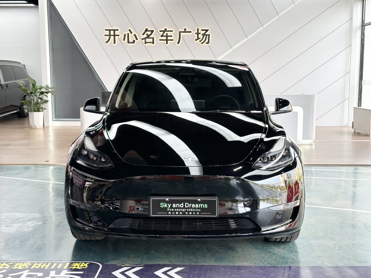 特斯拉 Model 3  2021款 改款 Performance高性能全輪驅(qū)動版圖片