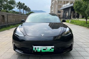 Model 3 特斯拉 Performance高性能全輪驅(qū)動版