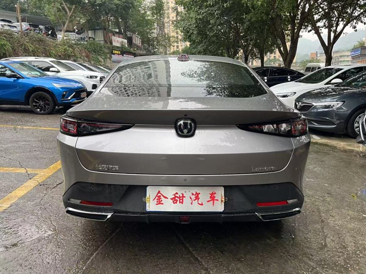 長(zhǎng)安 逸達(dá)  2023款 藍(lán)鯨NE 1.5T GDI DCT領(lǐng)航型圖片