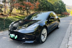 Model 3 特斯拉 標準續(xù)航后驅(qū)升級版