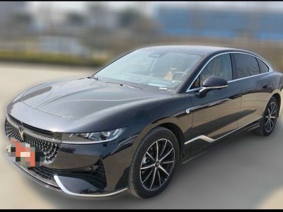 2024年2月 嵐圖 嵐圖追光 PHEV 四驅(qū)超長續(xù)航行政版圖片