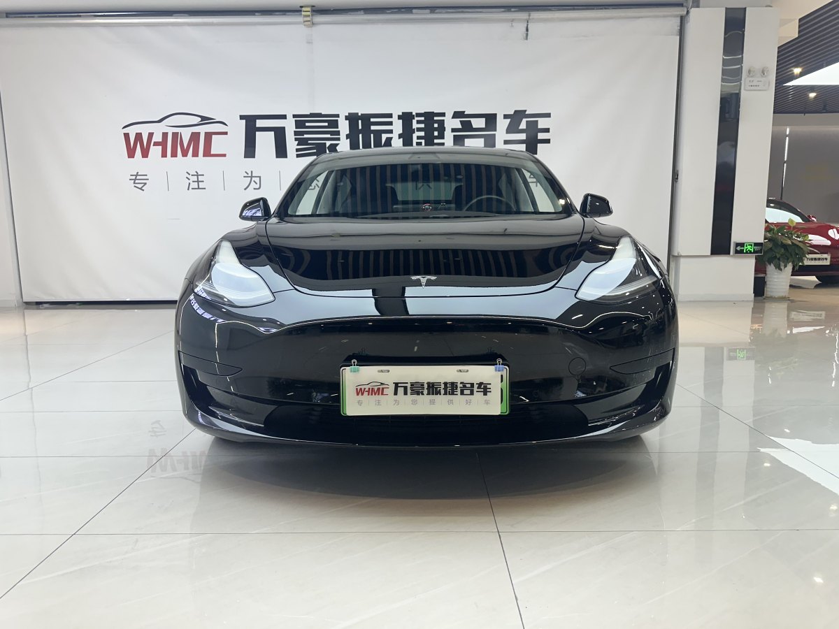 特斯拉 Model 3  2019款 標準續(xù)航后驅升級版圖片