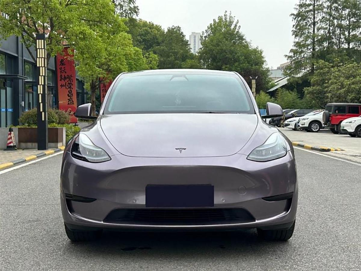 特斯拉 Model 3  2022款 后輪驅(qū)動(dòng)版圖片