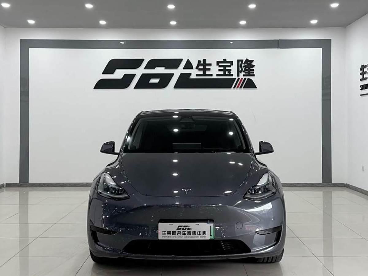 特斯拉 Model 3  2020款 改款 長續(xù)航后輪驅(qū)動(dòng)版圖片