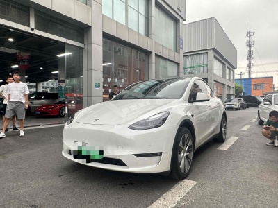 2021年3月 特斯拉 Model 3 长续航全轮驱动版 3D7图片