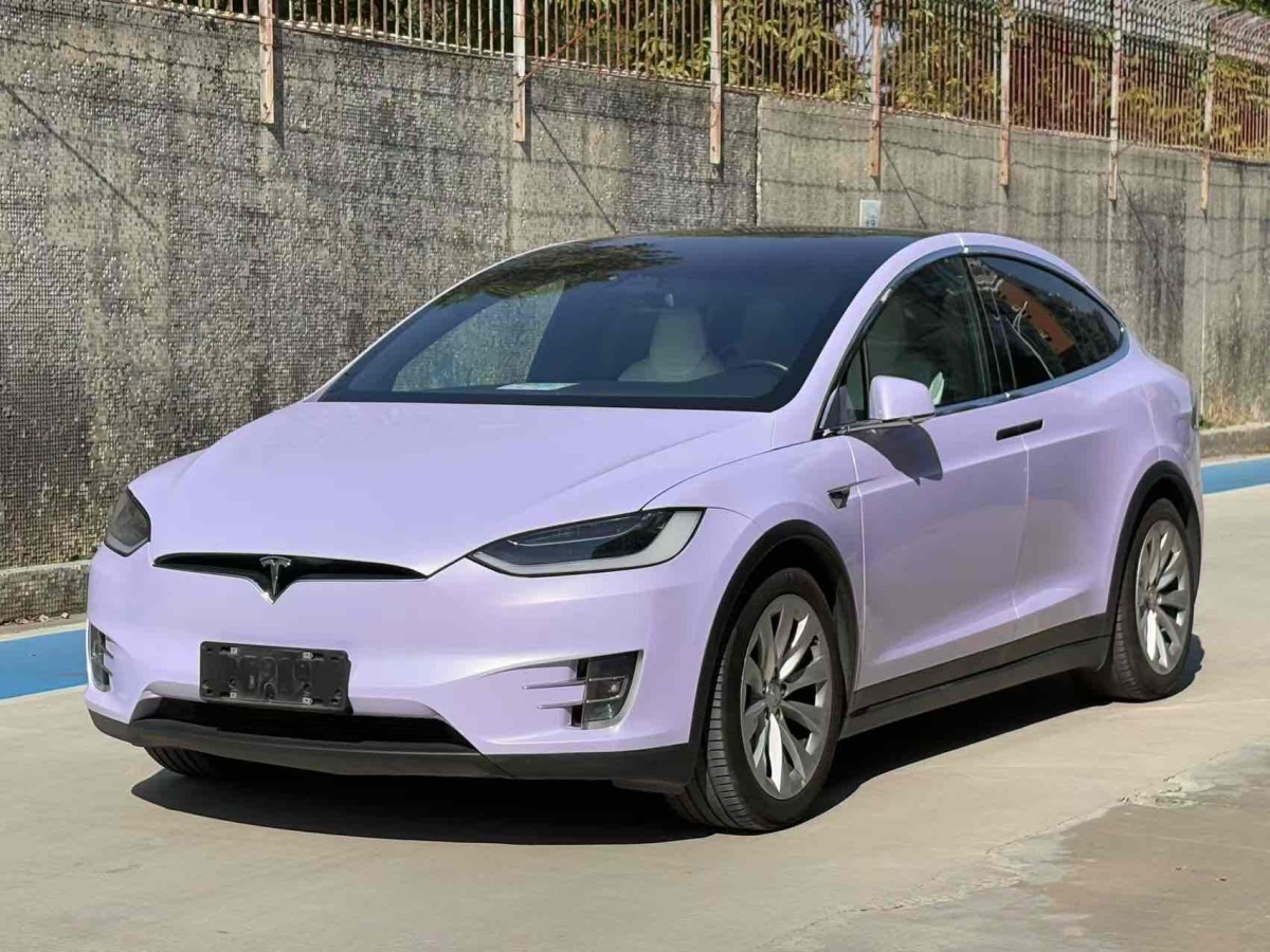 特斯拉 Model X  2017款 Model X 100D 長續(xù)航版圖片