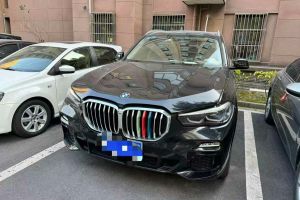 寶馬X5 寶馬 xDrive30i X設計套裝