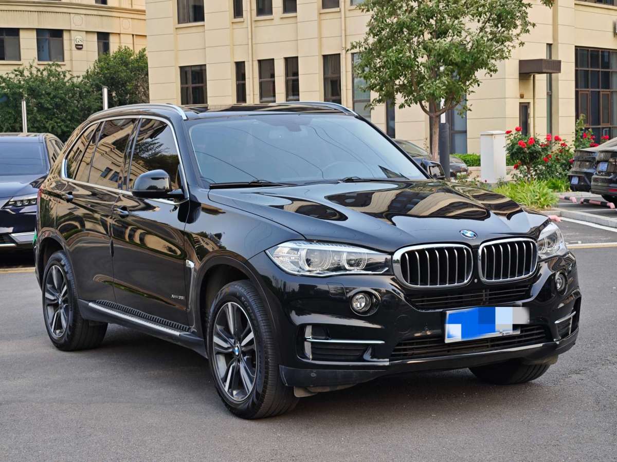 寶馬 寶馬X5  2018款 xDrive35i 典雅型圖片